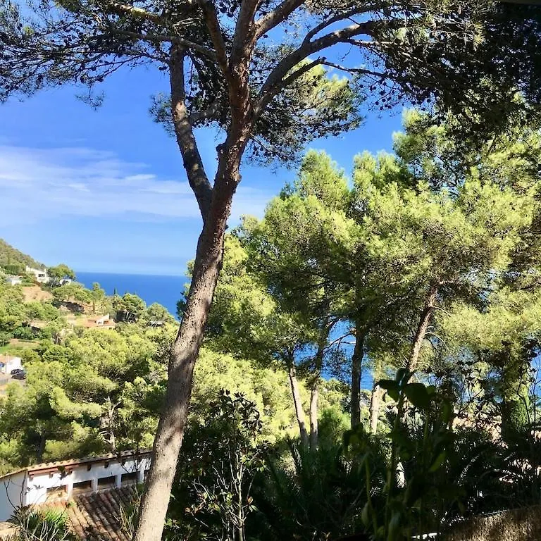 Mediterranean Dream Begur Spain